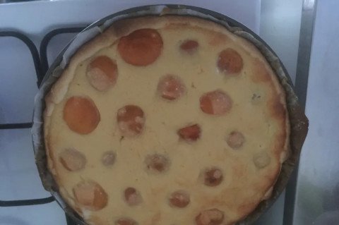 Tarte fondante aux abricots
