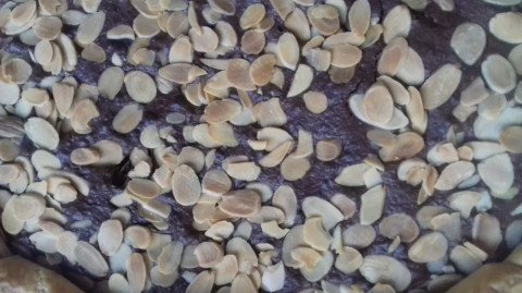 Tarte à la Noix de Coco et au lait concentré sucré