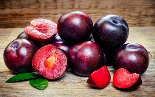 Tout savoir sur la prune