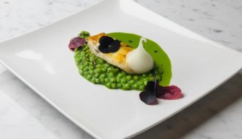 Turbot vapeur, coulis de petits pois à la verveine et au wasabi
