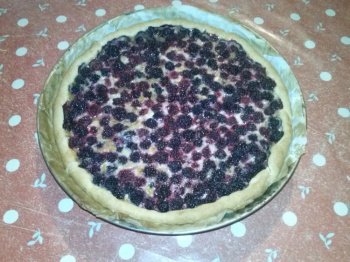 Tarte aux mûres et pain d'épices