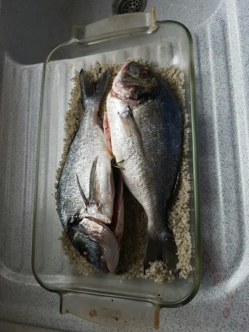 Dorade en croûte de sel