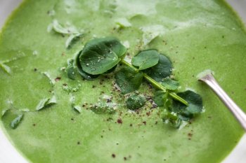 Soupe de cresson au lait de soja