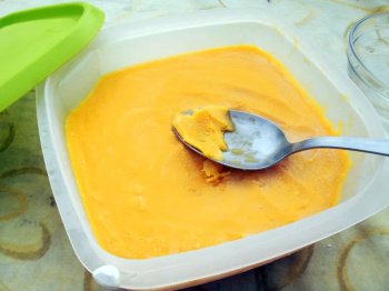 Sorbet au blender/robot hyper facile