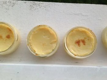 Crème caramel délicieuse et facile