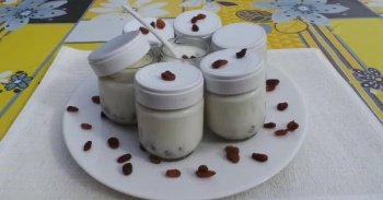 Yaourt rhum raisins