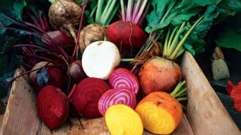 Les Légumes Racines : qu'est-ce que c'est et comment les cuire ?