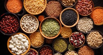 Les légumineuses : trésors nutritifs de notre cuisine