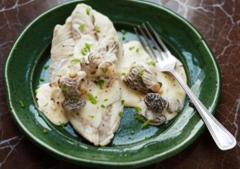 Filet de sandre à la crème de morilles