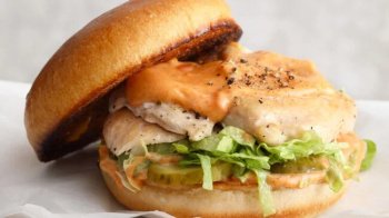 Poulet sous vide pour chicken burger