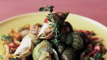 Ragoût de bulots au gingembre et au thym citronné