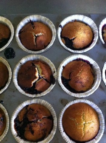 Délicieux muffins au cassis gluten free !