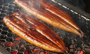 Anguilles au barbecue