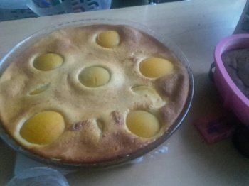 Gâteau flan aux abricots