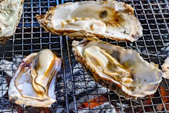 Huitres chaudes à la Cancoillote cuites au barbecue