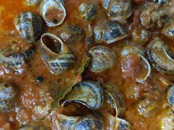 Escargots à la Bordelaise