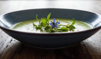 Soupe aux salicornes