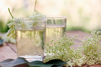 Sirop de fleurs de sureau facile