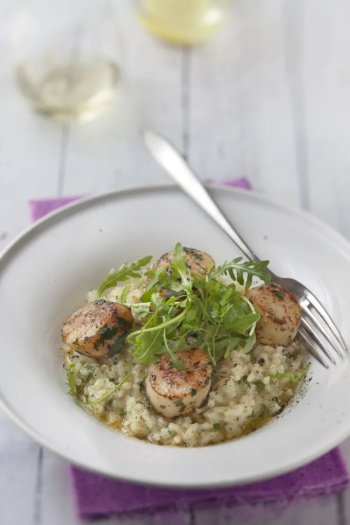 Risotto de Saint Jacques à la roquette