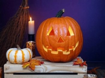 Comment Sculpter une Citrouille : Méthode Simple avec Photos