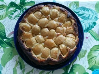 Tarte briochée aux pommes
