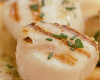 Saint-Jacques grillées aux panais rôtis par Laurent Mariotte