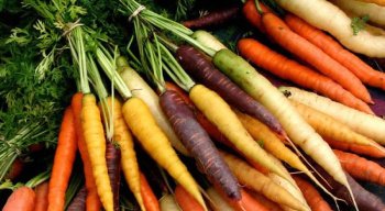 La carotte dans tous ses états : bienfaits, variétés, conservation et recettes