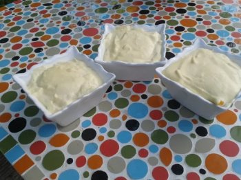 Tiramisu à la mangue et à la nectarine