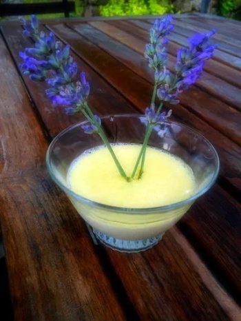 Panna cotta à la lavande