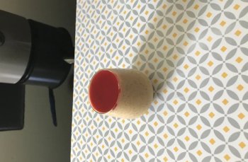 Mousse au speculoos et coulis de myrtilles