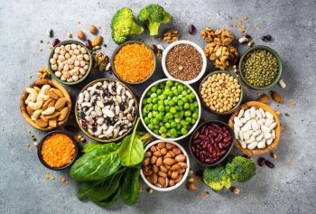 Les 24 Sources de Protéines Végétales Les Plus Populaires