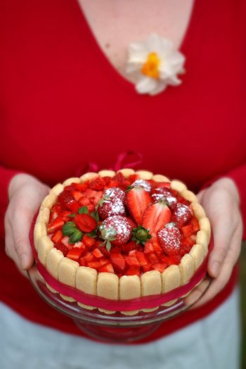 Charlotte aux fruits légère