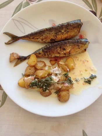 Filets de Maquereaux de Dieppe