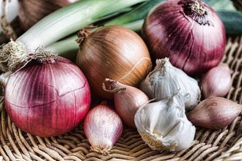 Les Légumes Bulbes : Un Univers à Découvrir