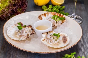 Tartare de Saint-Jacques, huitres et bar