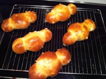 Cougnous ou cougnoles