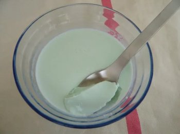 Panna cotta à la menthe