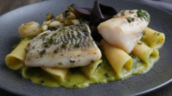 Filet de Saint Pierre et grenailles