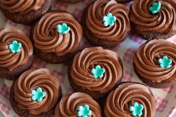 Cupcake menthe chocolat