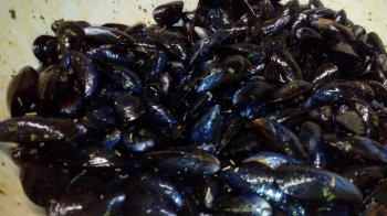 Moules marinées à la Plancha