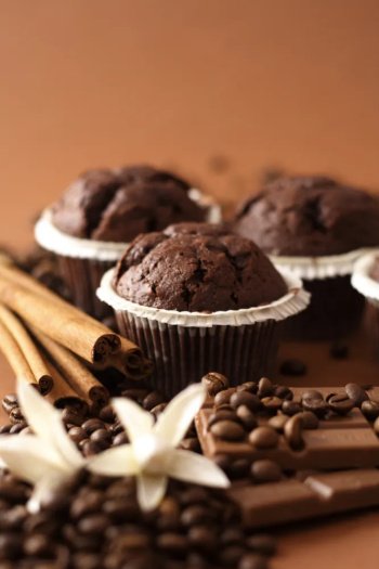 Muffins tout choco