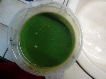 Mon problème avec la soupe dorties... cest la présence de patates et de crème