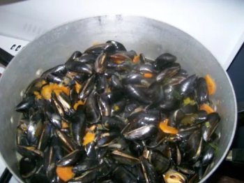 Moules marinières picardes