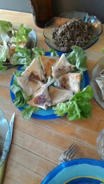 Brick à la viande aux saveurs de l'Orient