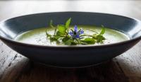 Soupe aux salicornes