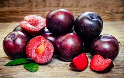 Tout savoir sur la prune