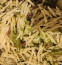 Recette