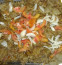 Recette