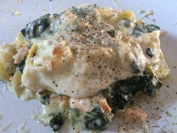 Lasagnes au saumon et à l'épinard