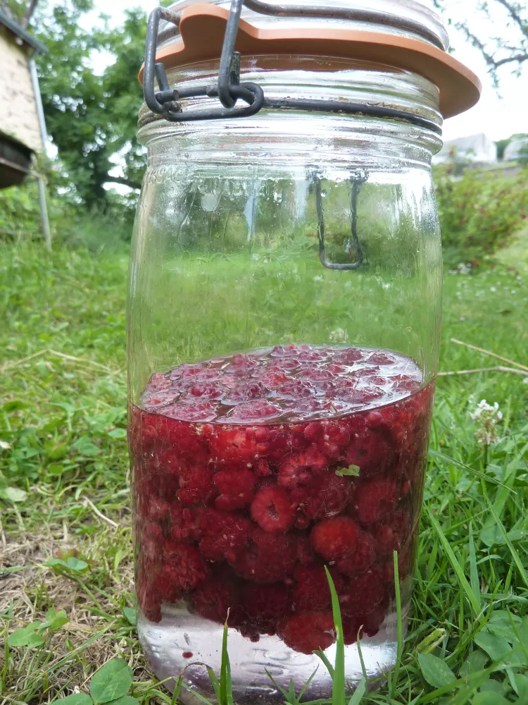 Recette de liqueur de framboises